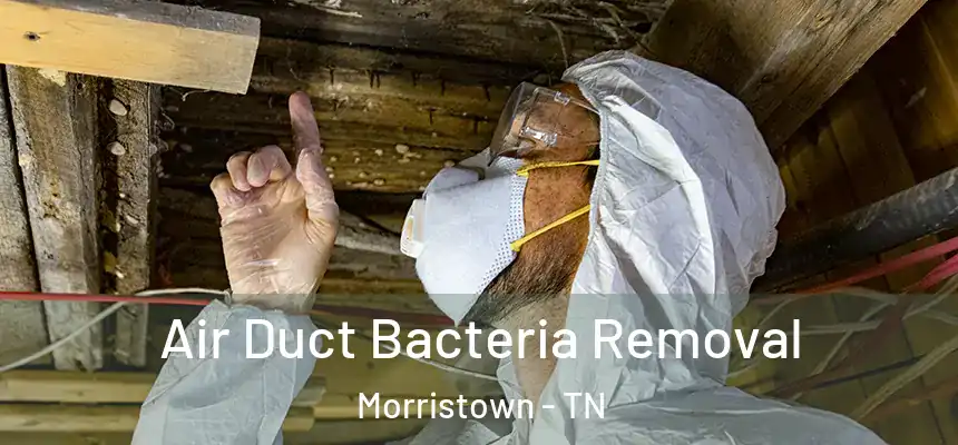  Air Duct Bacteria Removal Morristown - TN