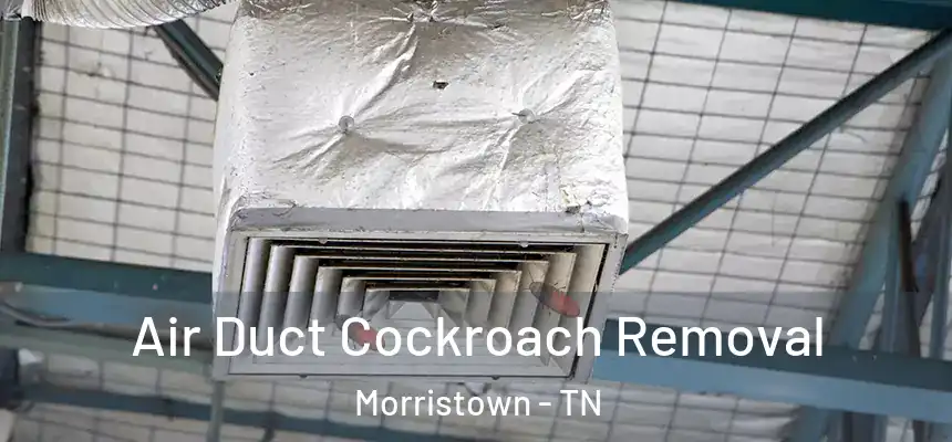  Air Duct Cockroach Removal Morristown - TN