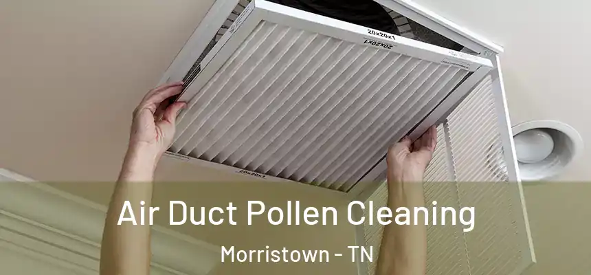  Air Duct Pollen Cleaning Morristown - TN