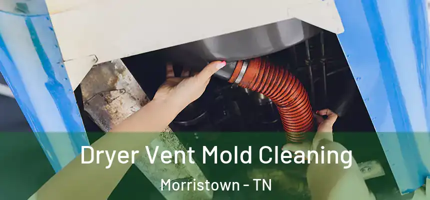 Dryer Vent Mold Cleaning Morristown - TN