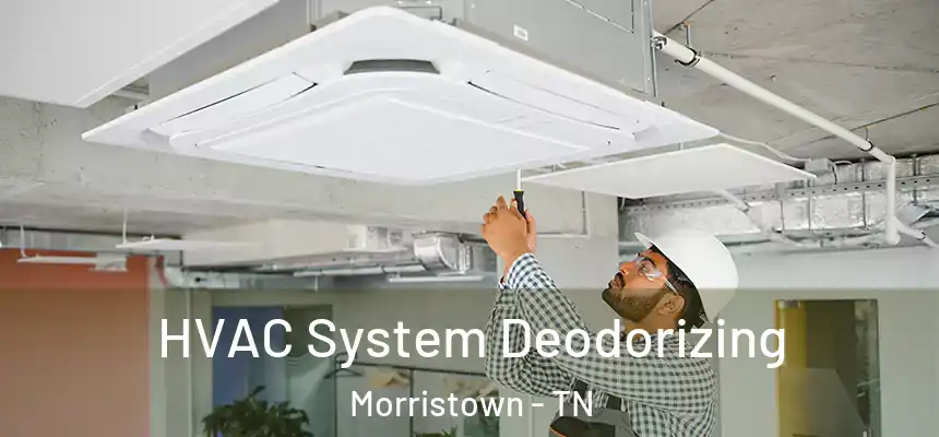 HVAC System Deodorizing Morristown - TN