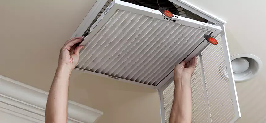 Preventive Cockroach-Proofing for Ducts in Morristown