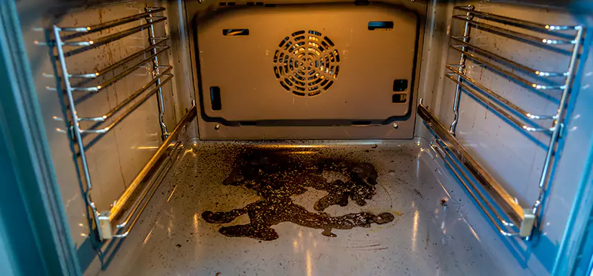 Our Dryer Vent Mold Cleaning Services in Morristown, TN