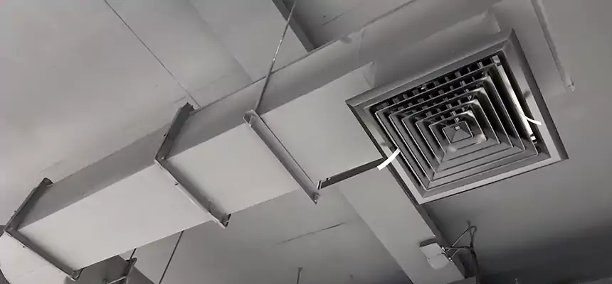 Our Pest Removal From Ducts Services in Morristown, TN