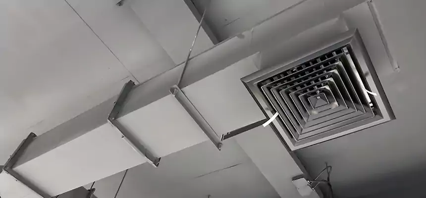 Our Rodent Droppings In Vents Services in Morristown, TN