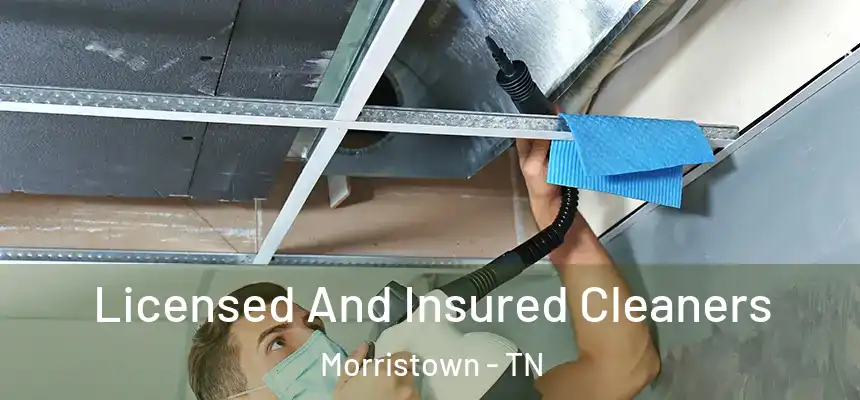  Licensed And Insured Cleaners Morristown - TN