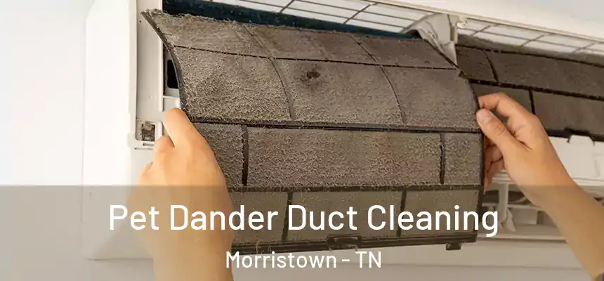Pet Dander Duct Cleaning Morristown - TN