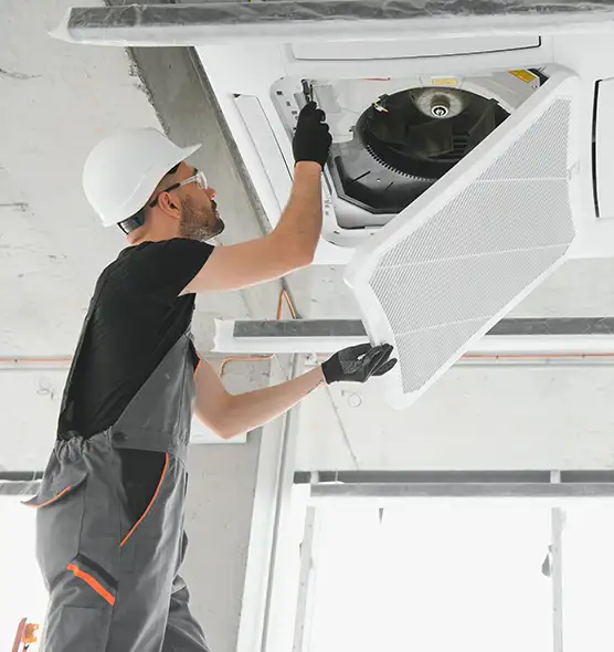 About Air Duct Rodent Removal in Morristown, TN