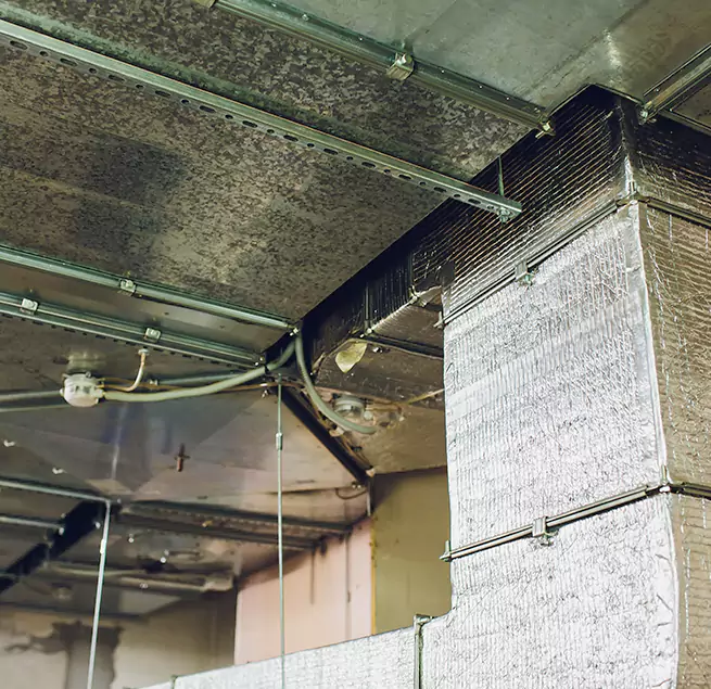 Why Homeowners & Businesses Trust Us in Morristown, TN?